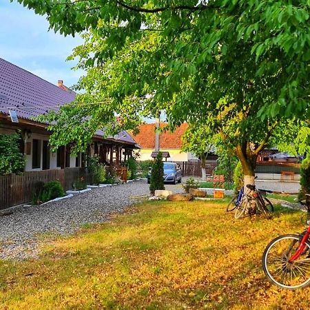 La Romaneasa Săpînţa Exteriör bild