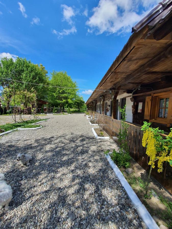 La Romaneasa Săpînţa Exteriör bild