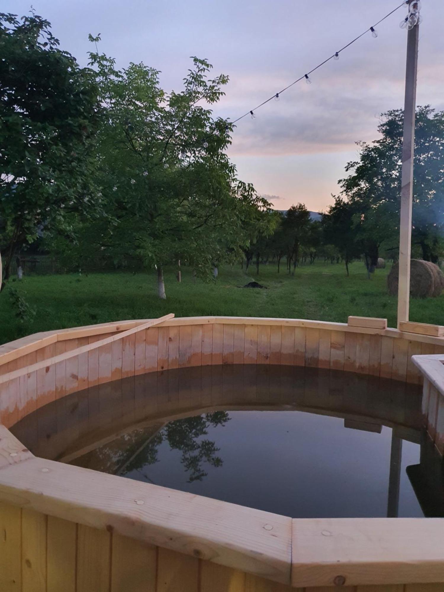 La Romaneasa Săpînţa Exteriör bild