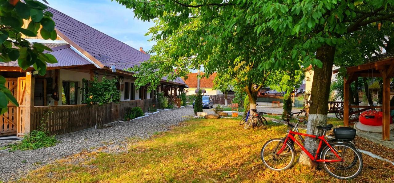 La Romaneasa Săpînţa Exteriör bild