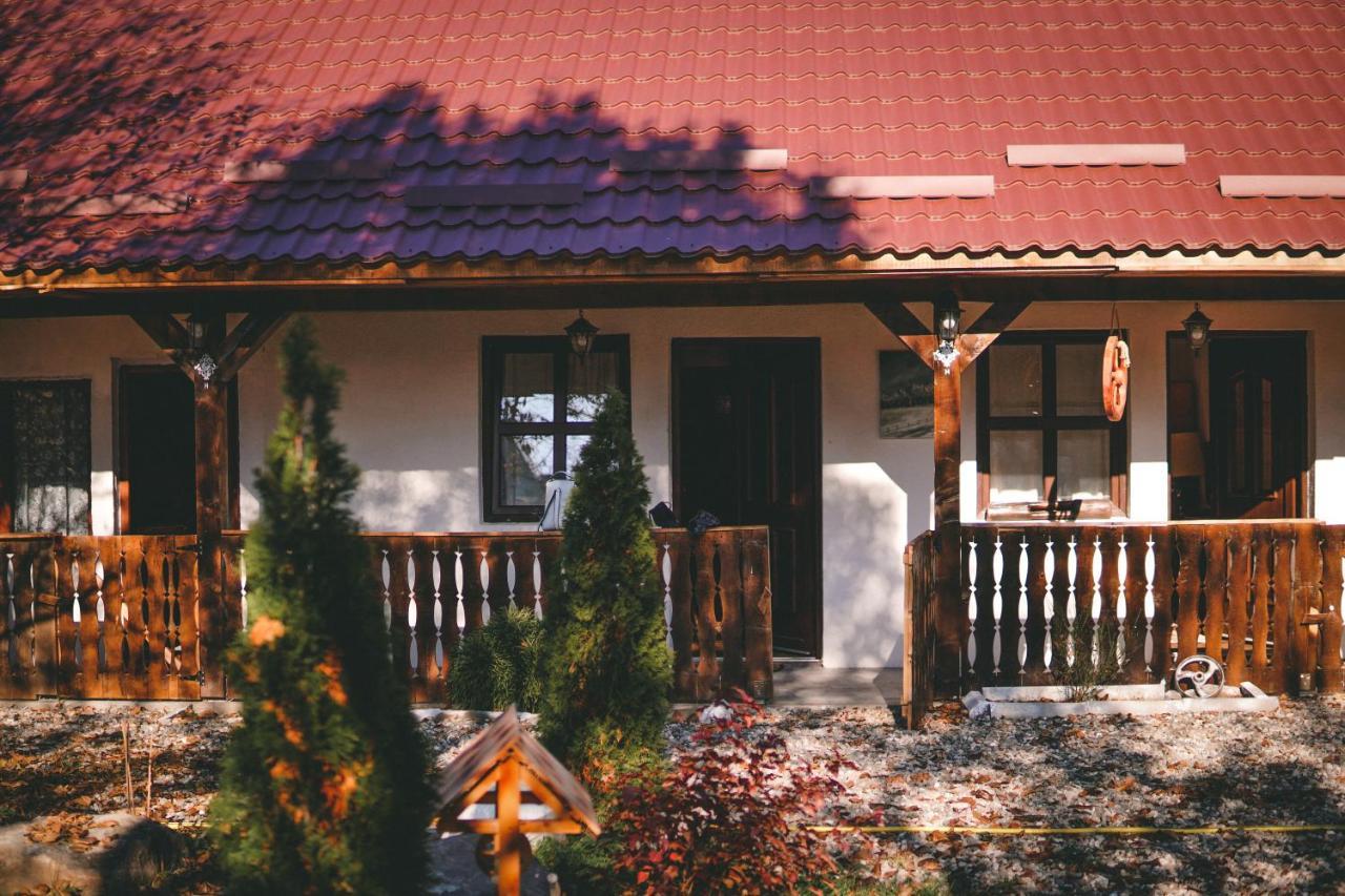 La Romaneasa Săpînţa Exteriör bild